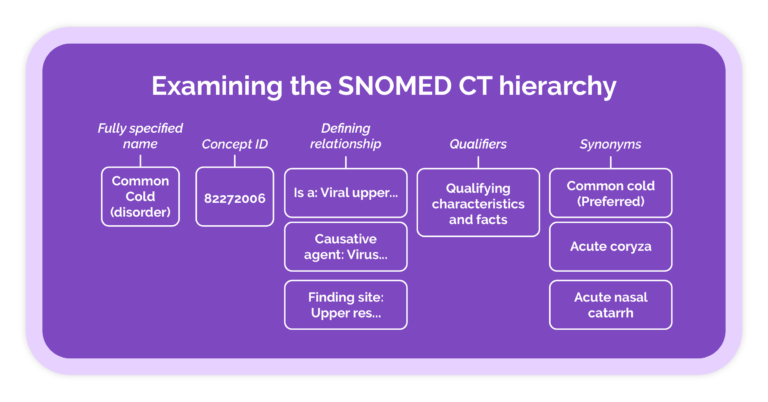 SNOMED CT 101: A Guide To The International Terminology System | IMO Health